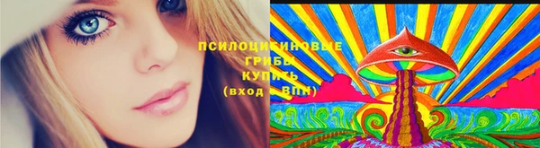 дживик Инта