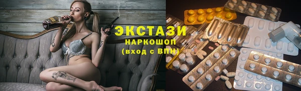дживик Инта