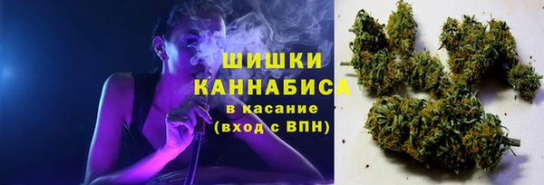 дживик Инта
