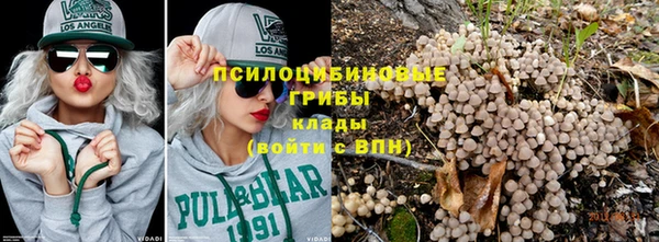 дживик Инта