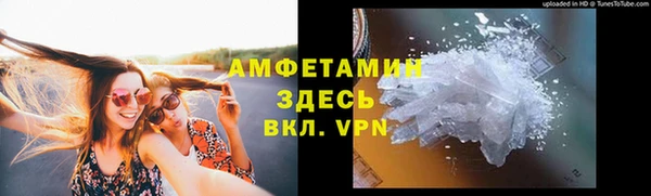 дживик Инта