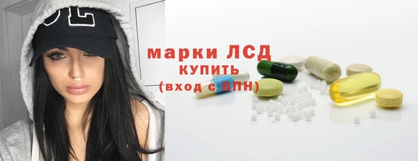 дживик Инта