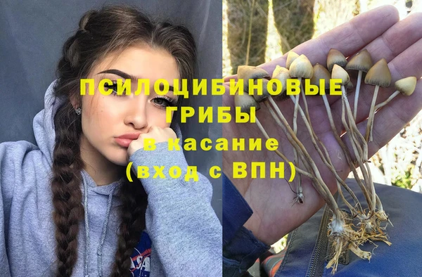 дживик Инта