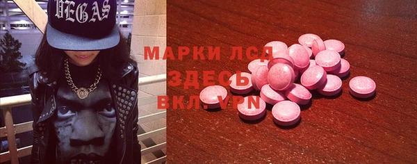 дживик Инта