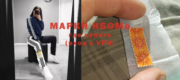дживик Инта