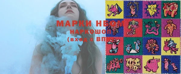 дживик Инта