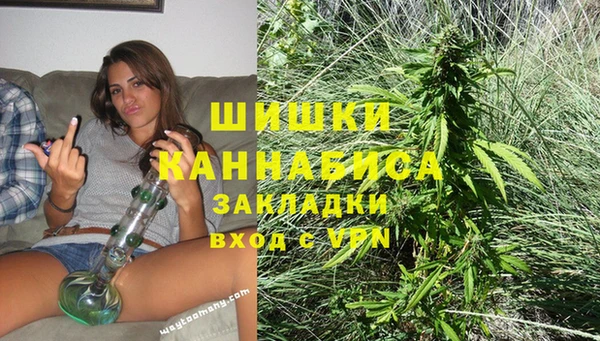 дживик Инта
