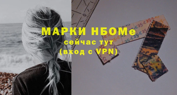 дживик Инта