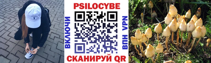 Псилоцибиновые грибы прущие грибы  Купить закладки  Буй 