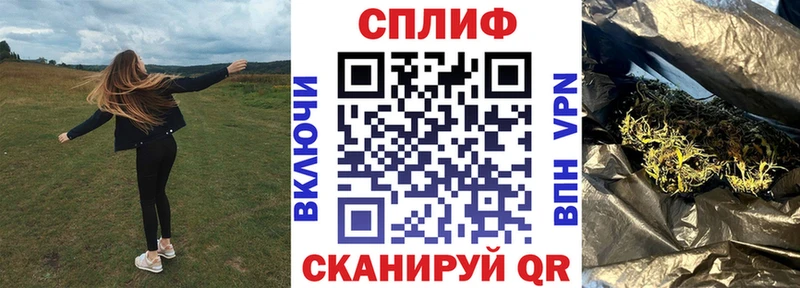 Купить  Буй  Конопля сатива 